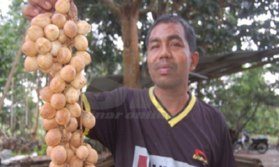 Fruit Farmer Wants People To Eat His Fruits For Free Instead Of Throwing Them Away - World Of Buzz 6