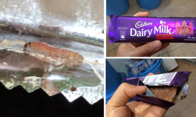 Malaysian Woman Finds 'Wriggly' Surprise In Her Cadbury Chocolate Bar - World Of Buzz 2