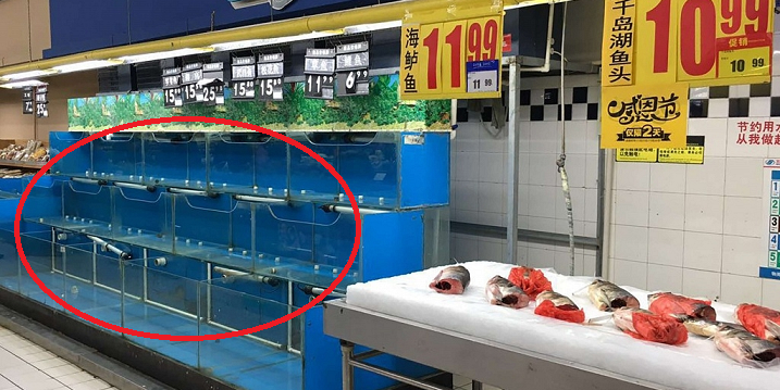 The Mystery of Beijing's Disappearing Fish - World Of Buzz 7