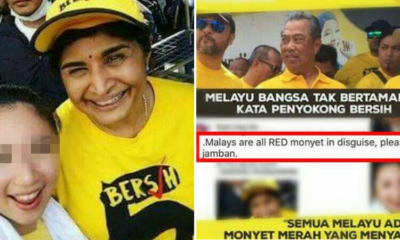 The Shocking Truth Behind The Chinese Girl Who Called Malays 'RED Monyet' - World Of Buzz 16