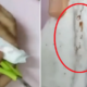 Woman Found Dark Spots In Newly Bought Pantyliner - World Of Buzz 5