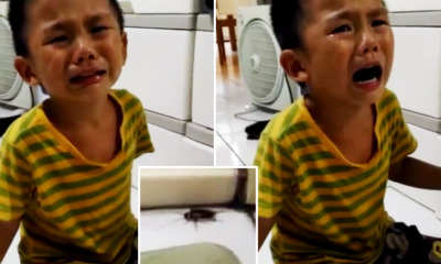 "You Want To Kill Me Too?!" Innocent Child Asks His Mother After She Murdered A Cockroach - World Of Buzz 7