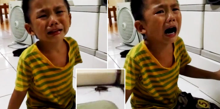 "You Want To Kill Me Too?!" Innocent Child Asks His Mother After She Murdered A Cockroach - World Of Buzz 7