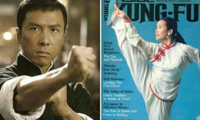 Actor And Martial Artist Donnie Yen's Kungfu Master Is His Own Mother? - World Of Buzz