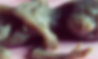 Dead Baby Hidden In Motorcycle For 14 Hours, Man Rides It To Work - World Of Buzz 2