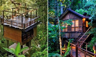 7 Gorgeous Nature Retreats In Malaysia For A Unique Getaway - World Of Buzz 61