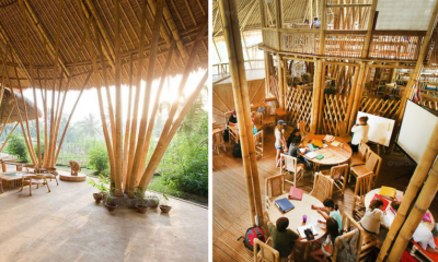 Bali's Green School Is Probably The Most Beautiful School Ever, Gets Prestigious Award - World Of Buzz