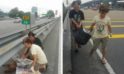 Canine's Guardian Angel Will restore your faith in humanity. - World Of Buzz 1