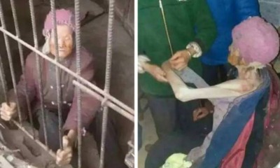 Cruel Chinese Couple Locks Up Their OWN 92-Year-Old Mother In A Pigpen For Years - World Of Buzz 4