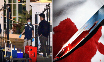 Newly - World Of Buzz