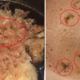 Look Before You Eat! Malaysia's Dirty Eateries Have Been Going Viral in Social Media - World Of Buzz 5