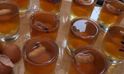 Malaysian Chinese Wedding Game Tradition Have Grooms-men Gulping Worms - World Of Buzz