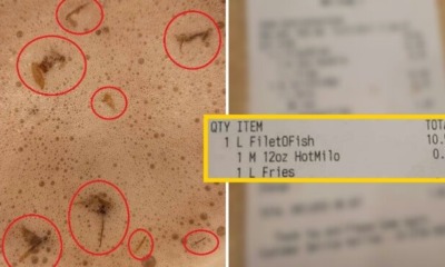 Malaysian Lady Found Several Baby Cockroaches In Her Hot Milo From McDonald's - World Of Buzz 4