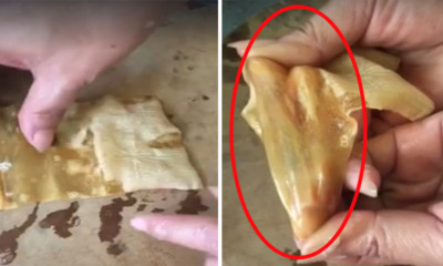 Ridiculously Elastic Beancurd Skin Suspected To Contain Plastic - World Of Buzz 4