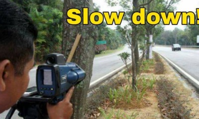 Speed Limits Reduced By 10KM/H On All Roads During Chinese New Year - World Of Buzz