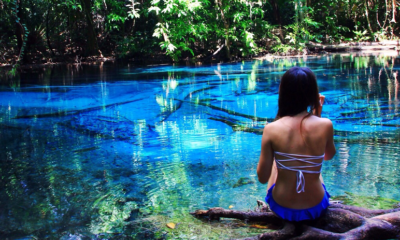 AirAsia's Special 50-Hour Flash Sales Offers 50% Off Flights To Over 70 Asean Destinations - World Of Buzz