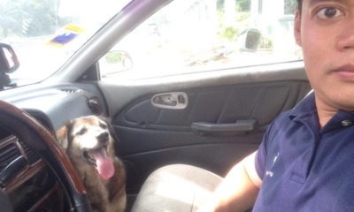 Man Risk His Life To Save Stranded Animals - World Of Buzz 2