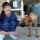 Taiwan Passes Law Banning Animal Abandonment After Vet Euthanized Herself - World Of Buzz 5