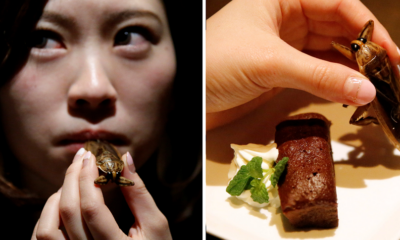 Tokyo Bar Offers Crunchy Insects In Cookies, Cream, And Cocktails - World Of Buzz 3