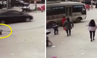 Young girl killed while attempting to pee on the side of the road. - World Of Buzz 4