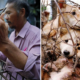 Indonesia's Dog Meat Market is Growing Steadily, Here's Why - World Of Buzz