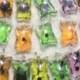 Live Animals Keychains Sold In China Critically Condemned - World Of Buzz