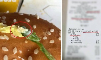 Maggots Found In McChicken Leaves Malaysians Aghast At McDonald's Lack Of Hygiene - World Of Buzz