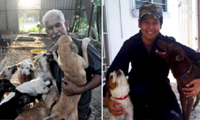 Malaysian Mufti Explains that Muslims Should Help Animals in Need, Even Dogs - World Of Buzz 4