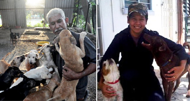 Malaysian Mufti Explains that Muslims Should Help Animals in Need, Even Dogs - World Of Buzz 4