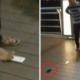 Sickening Video Of Vietnamese Youths Kicking iPhones Around Like Football Goes Viral - World Of Buzz 5