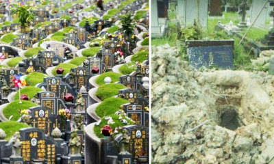 Singaporean Cemeteries Dig Up Bodies From Graves After 15 Years, Here's Why - World Of Buzz 1