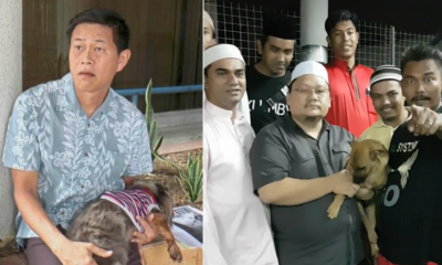 Animal Activist Called Out Terry Yee Over Animal Abuse - World Of Buzz 4