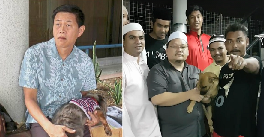 Animal Activist Called Out Terry Yee Over Animal Abuse - World Of Buzz 4
