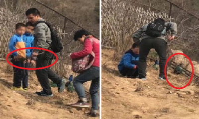 Chinese Family Chases After Peacocks and Tries to Pluck Off Their Feathers - World Of Buzz