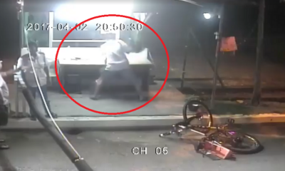 Dog Brutally Beaten in Bandar Kinrara But Police Cannot Take Action, Because Dog Has No Owner - World Of Buzz