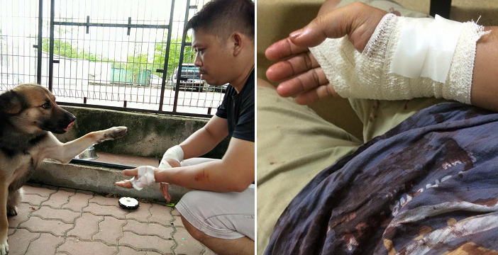 "I Was Thinking About Putting You to Sleep just now" - World Of Buzz 1