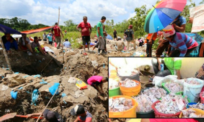 Local Businesses Losing Customers Because of Buried Fried Chicken - World Of Buzz 4