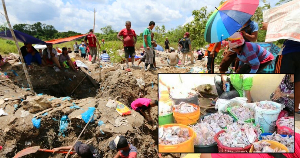 Local Businesses Losing Customers Because of Buried Fried Chicken - World Of Buzz 4
