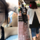 Malaysian Girl Ridicules Another Girl for Being Chubby, Suffers Backlash from Other Netizens - World Of Buzz 7