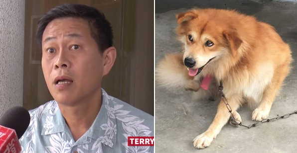 Singaporean Man Apologises for Mercilessly Attacking Guard Dog in Puchong - World Of Buzz 4