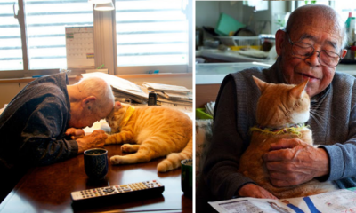 The Relationship Between this 94-Year-Old Man and His Cat Will Make You Smile - World Of Buzz