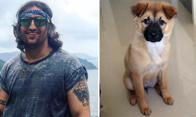 This Dog Gets Hilarious Haircut Because His British Owner Doesn't Speak Mandarin - World Of Buzz 1