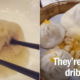 TimeOut's Brutal Way Of Eating XiaoLongBao Horrified Malaysians - World Of Buzz 3