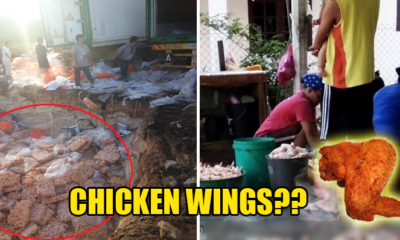 Villagers in Sibu Digging Up Chicken Wings Buried Underground Four Days Ago - World Of Buzz 4