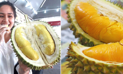 6 Easy Tips For Malaysians to Identify Musang King Durian - World Of Buzz