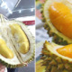 6 Easy Tips For Malaysians to Identify Musang King Durian - World Of Buzz