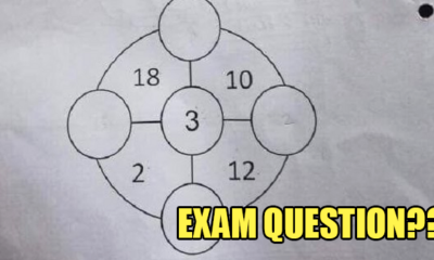 Difficult Primary One Question From Singapore Goes Viral Because Nobody Knows the Answer - World Of Buzz