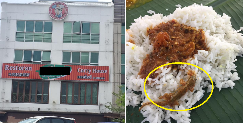 Facebook User Finds a Whole Lizard in Food at Puchong Banana Leaf Restaurant - World Of Buzz 4