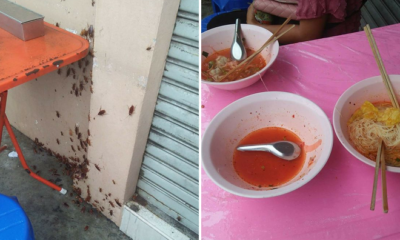 Horrified Thai Woman Joined by Dozens of Cockroaches While Having Lunch - World Of Buzz