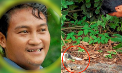 Kindhearted Malaysian Man Buries Dead Cats For an Amazing Reason - World Of Buzz 6